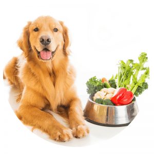 vegan dog food-