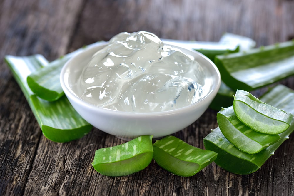 Aloe-Vera-Health-Benefits-Common-Uses-Side-Effects-and-More