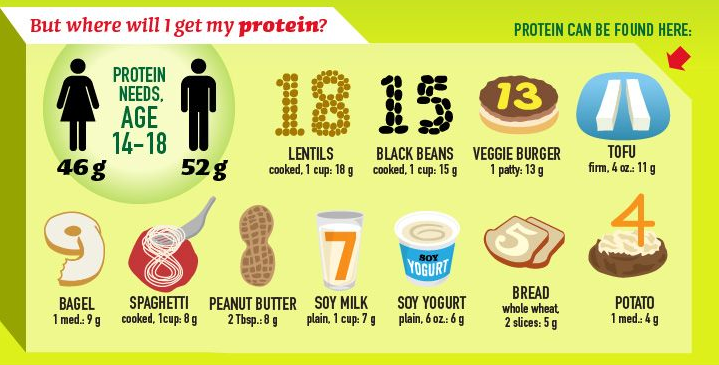 vegan-protein-diet-chart